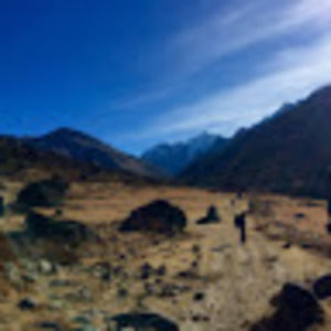 Meet your Posher, Sushma